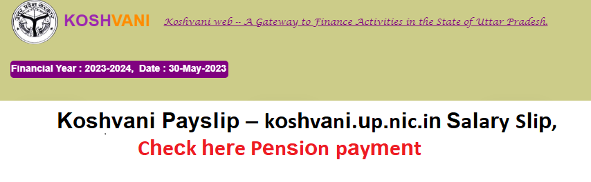 Koshvani Payslip