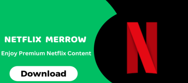 Netflix Mirror Apk